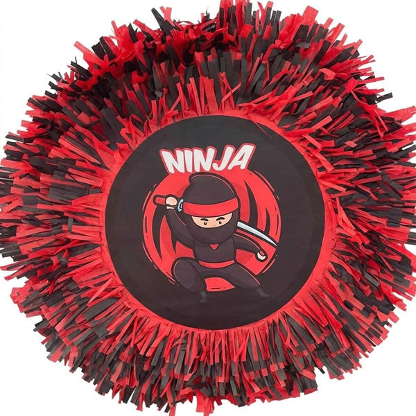Ninja Pinata
