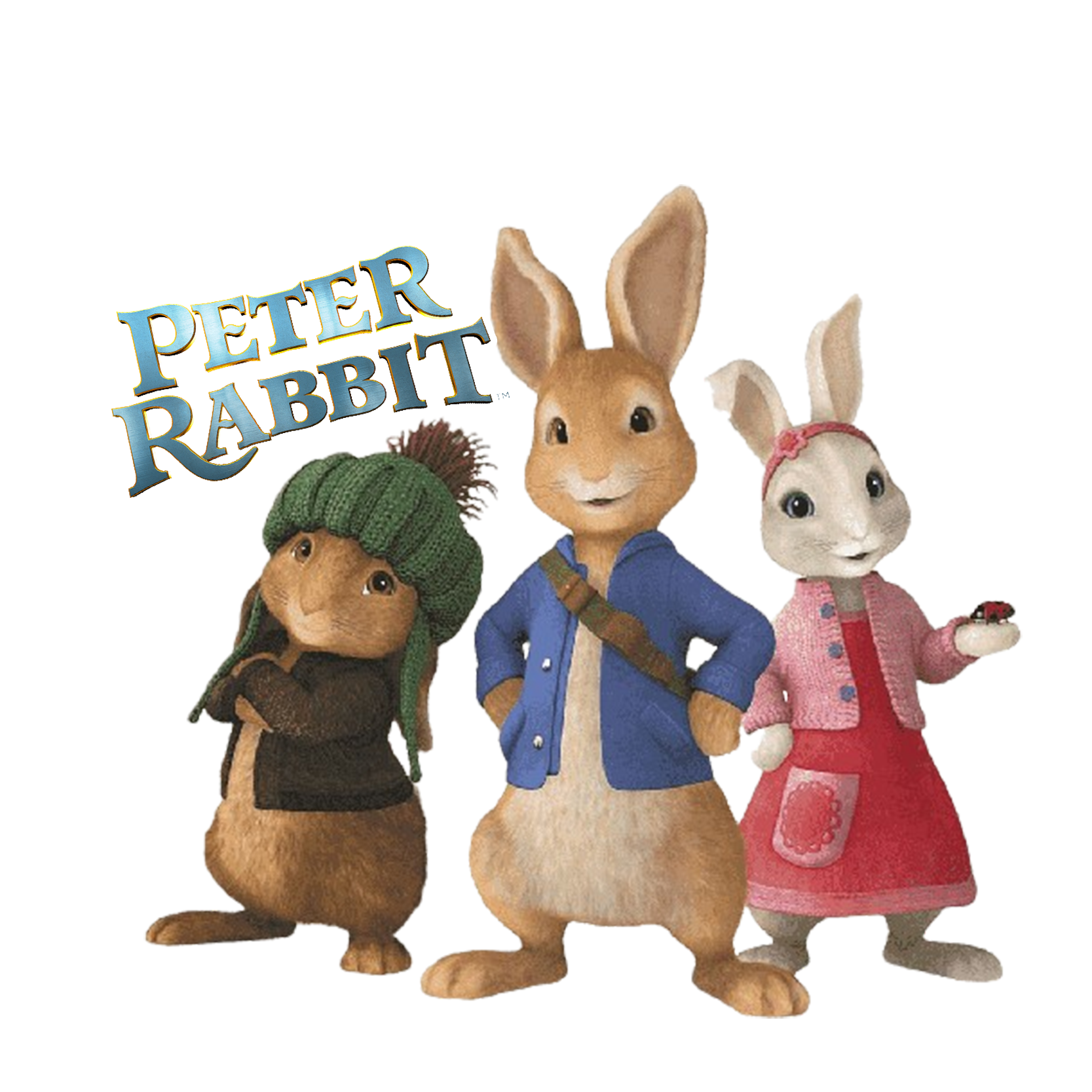 Peter Rabbit Theme – Jiggles Party Store