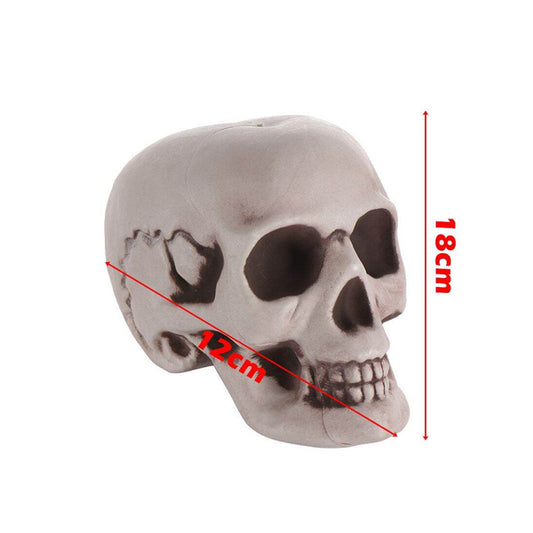 Plastic skull