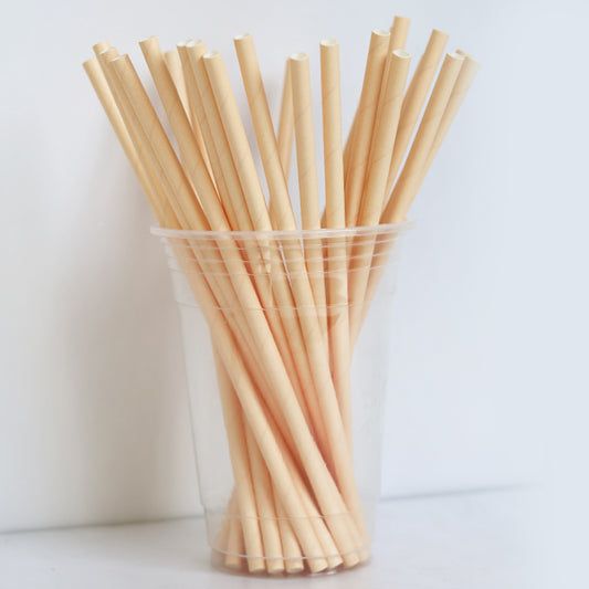 Pastel Peach Paper Straws