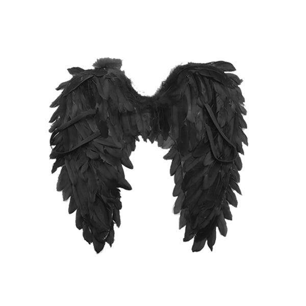 Angel Wings 40cm