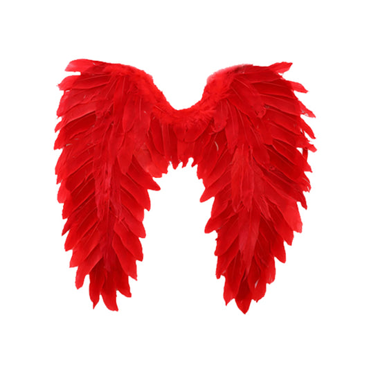 Angel Wings 60cm