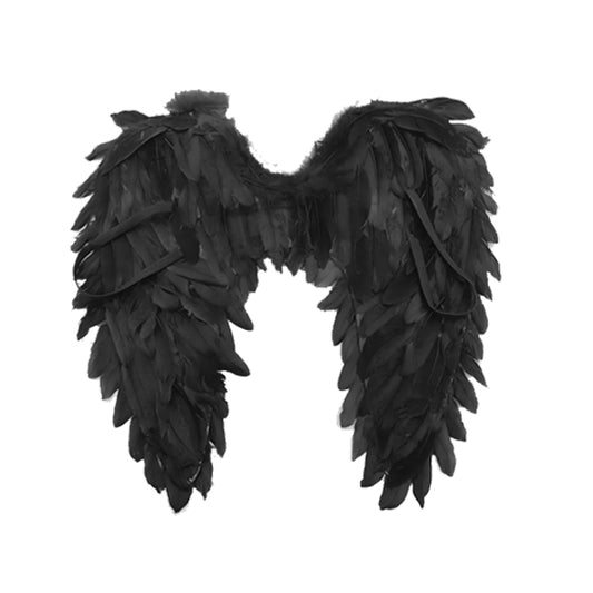 Angel Wings 60cm