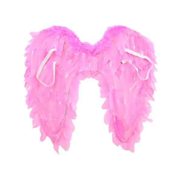 Angel Wings 60cm