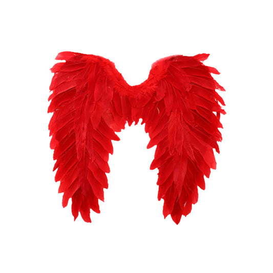 Angel Wings 40cm