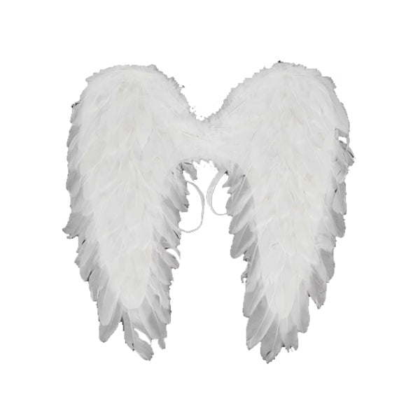 Angel Wings 60cm