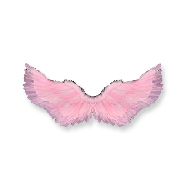 Angel Wings 80cm