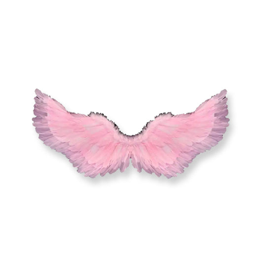 Angel Wings 80cm