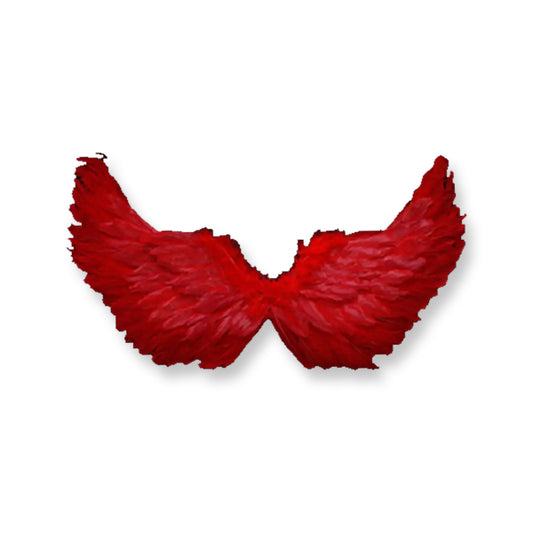 Angel Wings 80cm