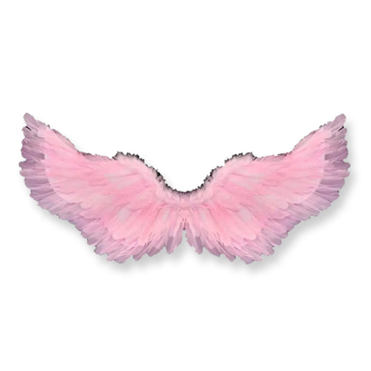 Angel Wings 110cm