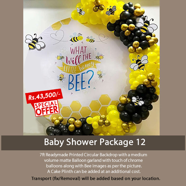 Baby Shower Decoration Package12