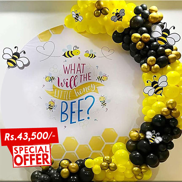 Baby Shower Decoration Package12
