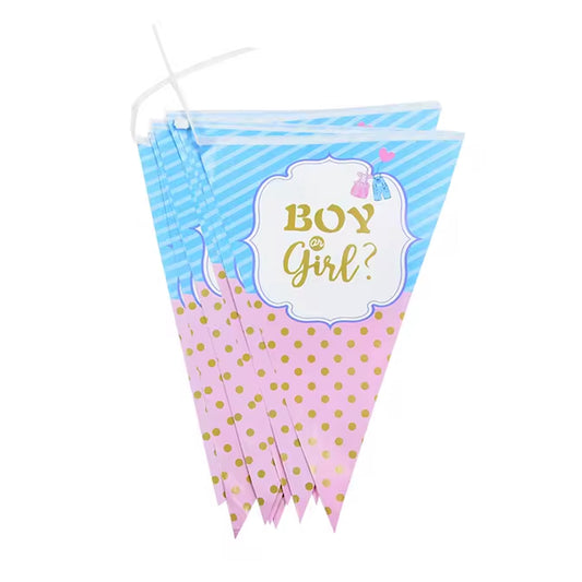 Boy Or Girl Bunting Flags