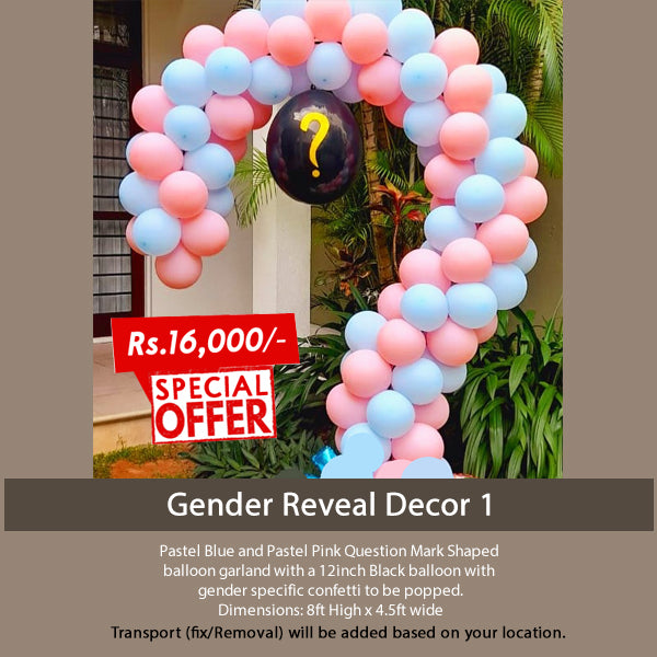 Gender Reveal Decor 1