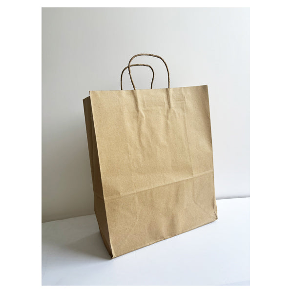 Brown Kraft Paper Bag Large