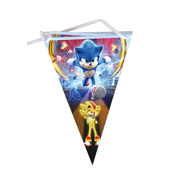 Sonic Pennant Banner