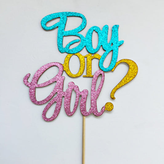 Boy or Girl Cake Topper Blue & Pink