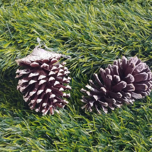 Pine Cones