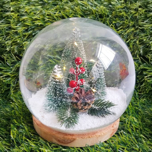 snow globe